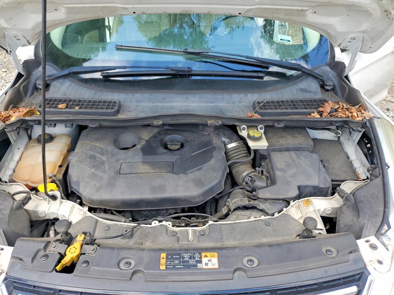 2014 Ford Escape Titanium White vin: 1FMCU0J91EUE46782