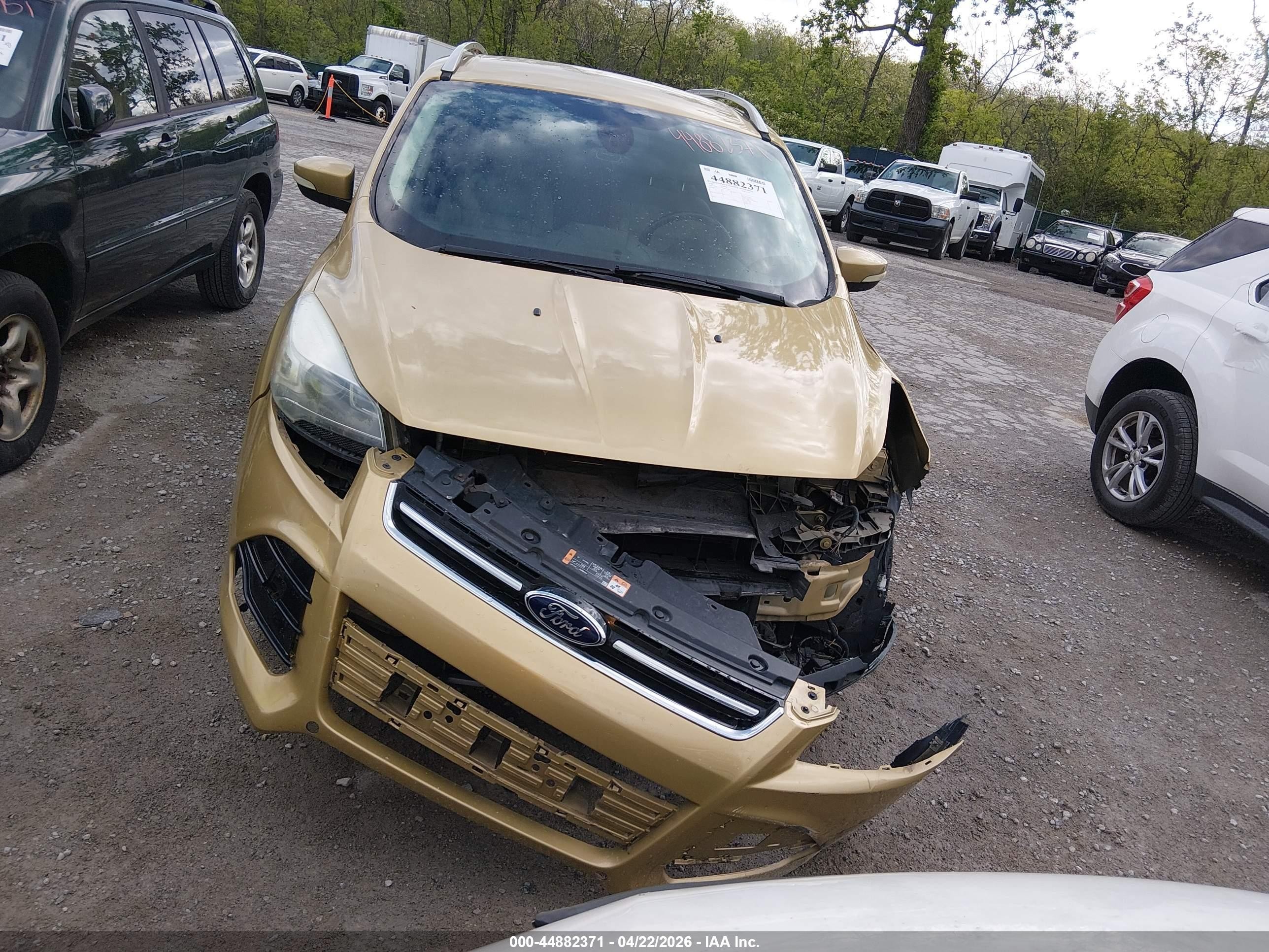 2014 Ford Escape Titanium Gold vin: 1FMCU0J92EUD63443