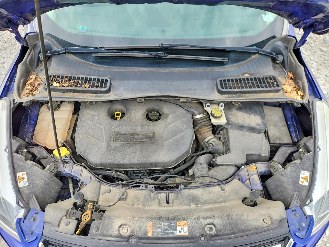 2014 Ford Escape Titanium Blue vin: 1FMCU0J95EUA76100