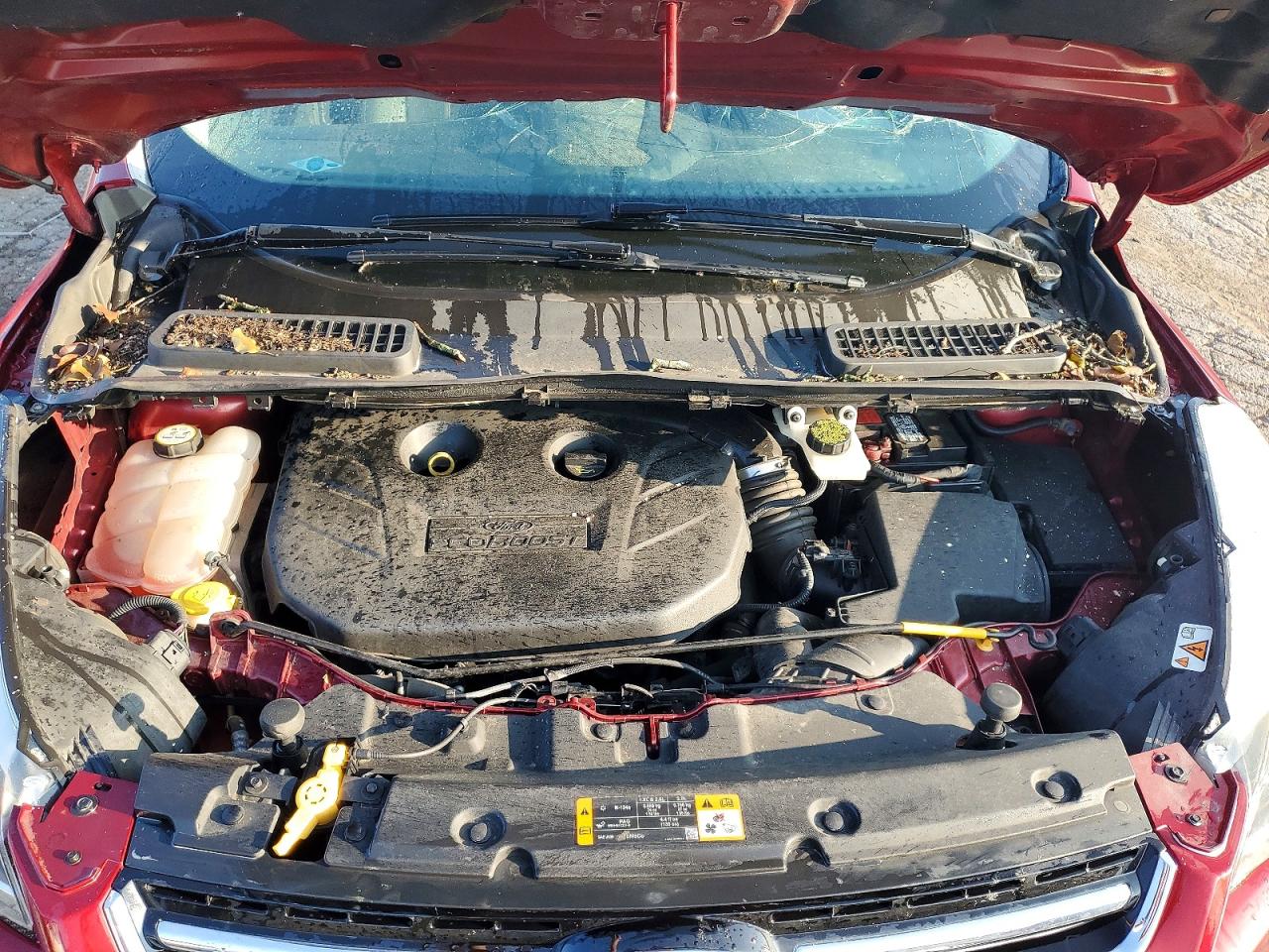 2013 Ford Escape Titanium Red vin: 1FMCU0J96DUB45312