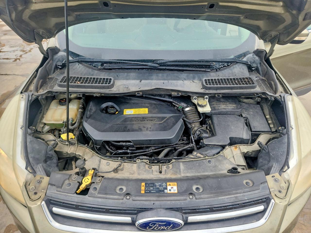 2014 Ford Escape Titanium Green vin: 1FMCU0JX1EUB34105
