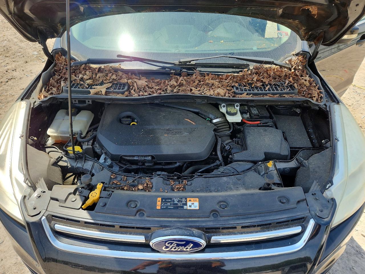 2014 Ford Escape Titanium Black vin: 1FMCU0JX2EUE21615