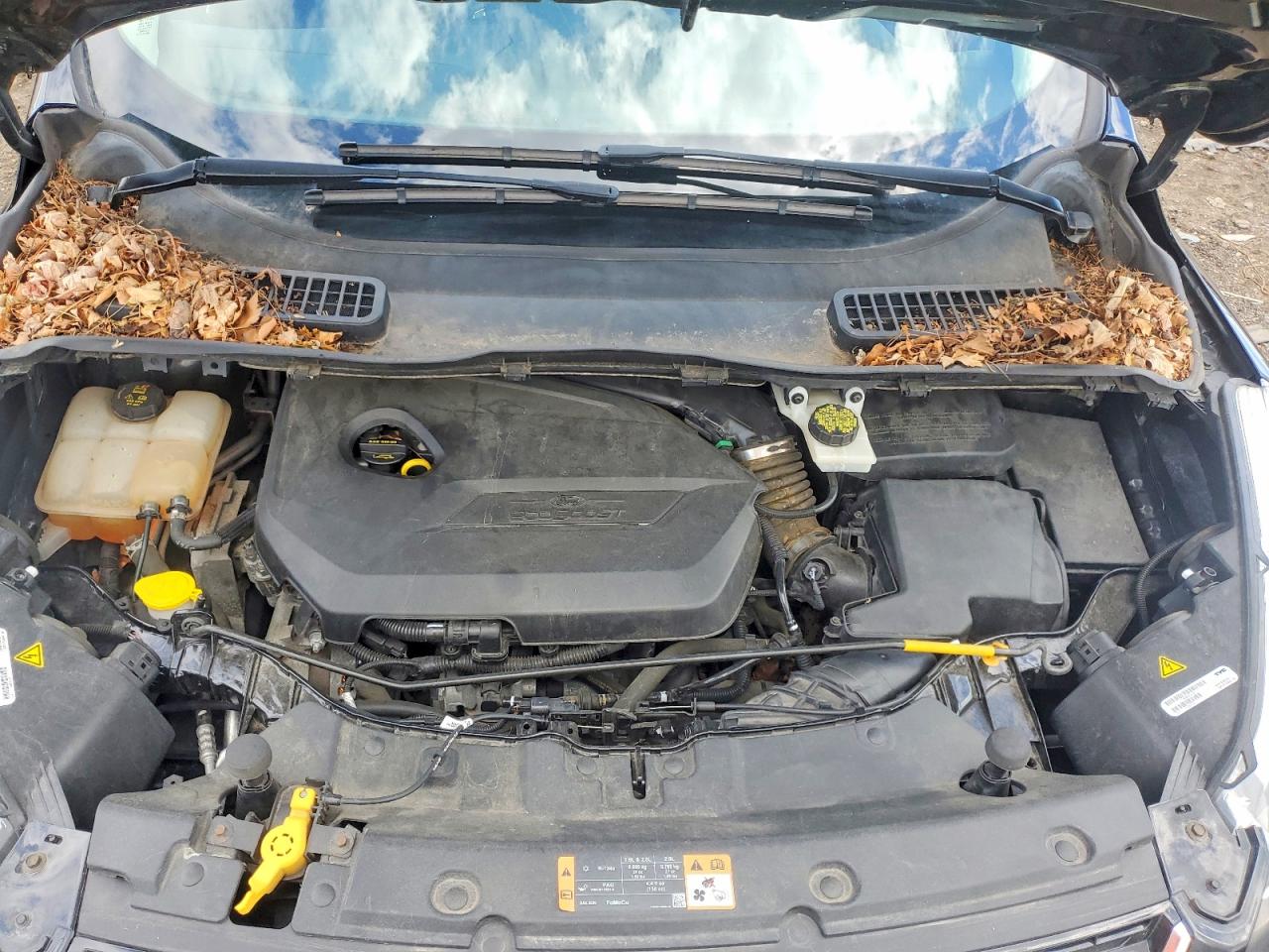 2014 Ford Escape Titanium Black vin: 1FMCU0JX4EUE10180