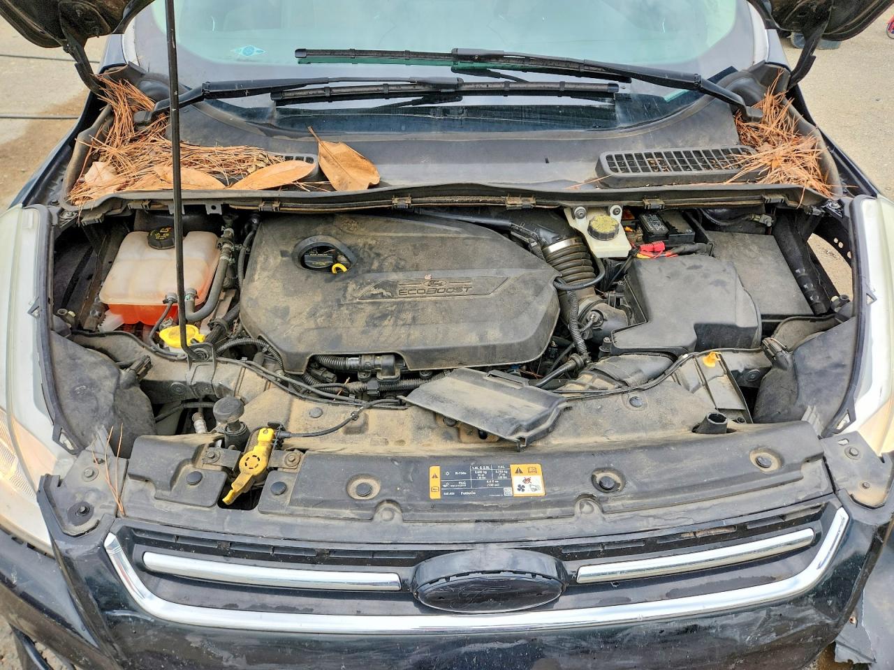 2014 Ford Escape Titanium Black vin: 1FMCU0JX5EUC89904