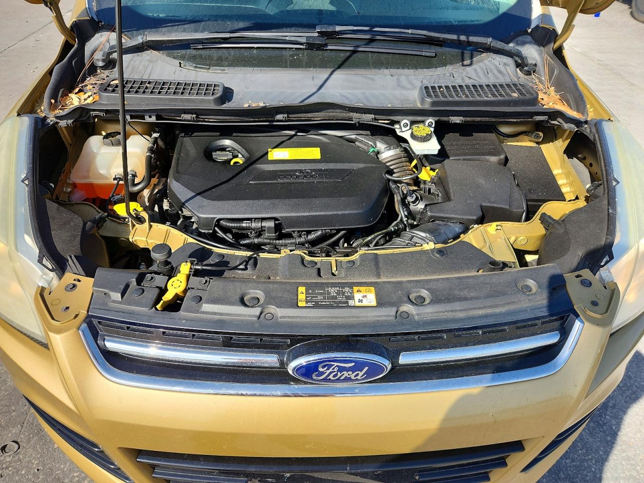 2014 Ford Escape Titanium Золотой vin: 1FMCU0JX6EUC90088