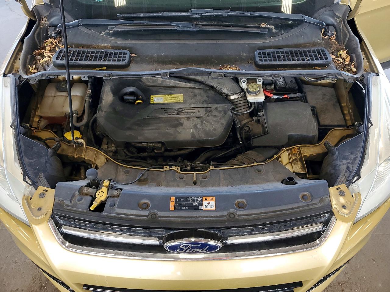 2014 Ford Escape Titanium Gold vin: 1FMCU0JX7EUC36640