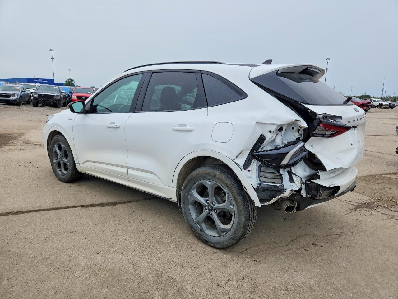2023 Ford Escape St Line White vin: 1FMCU0MN8PUA79570