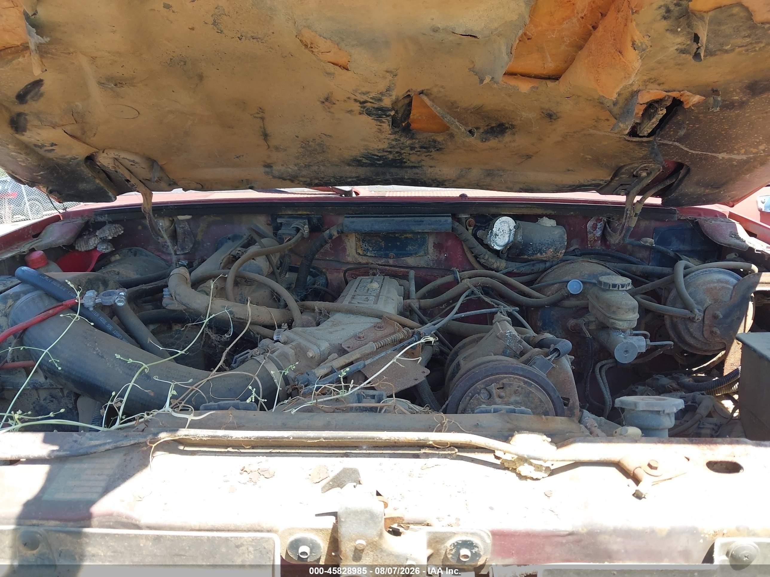 1990 Ford Bronco Ii   Red vin: 1FMCU14T0LUA63197
