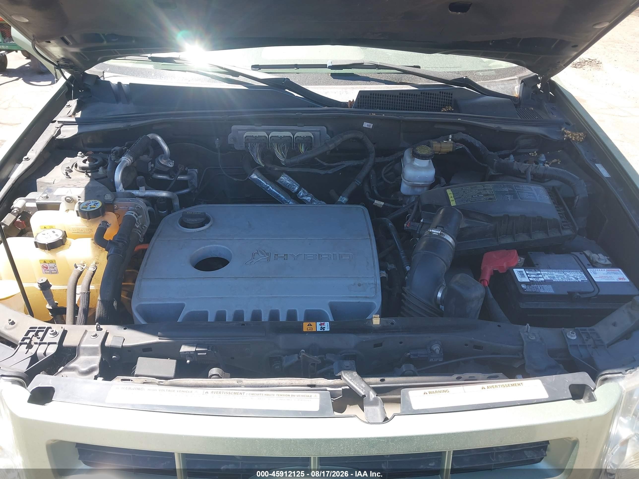 2009 Ford Escape Hybrid Limited Green vin: 1FMCU49319KA07820