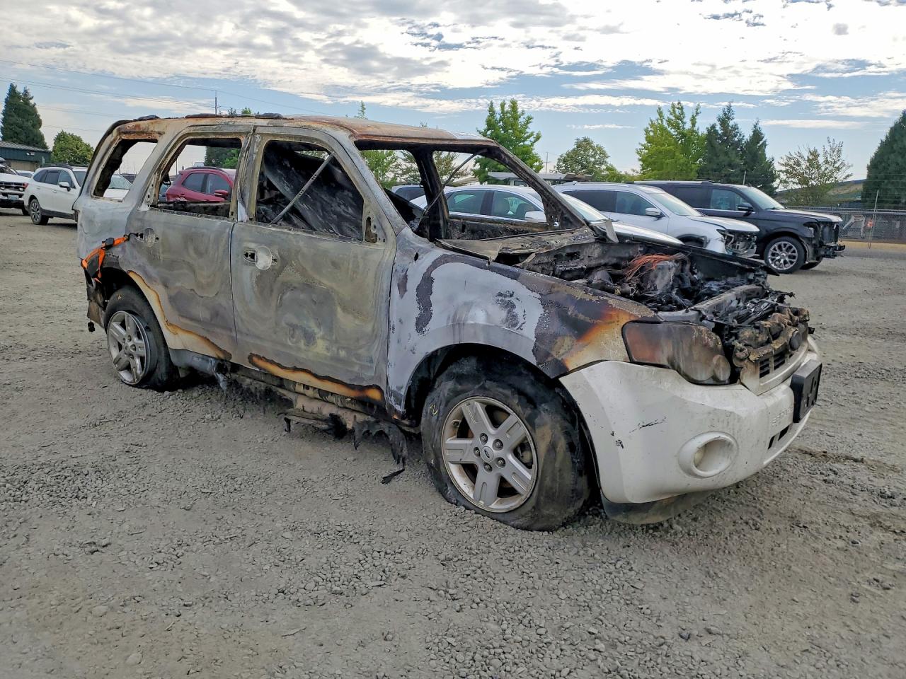 2009 Ford Escape Hybrid Burn vin: 1FMCU59399KA42790