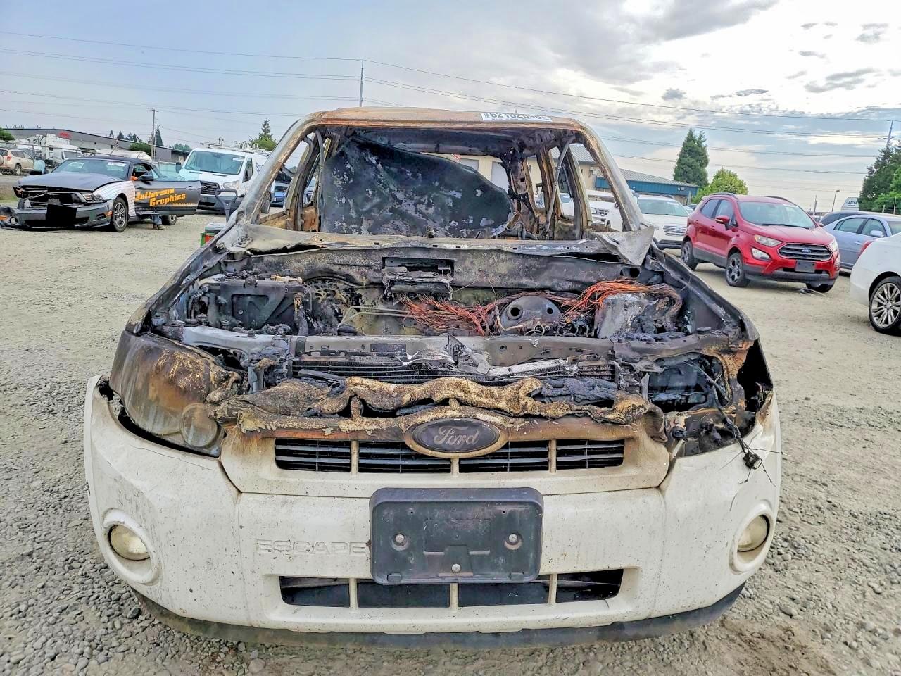2009 Ford Escape Hybrid Burn vin: 1FMCU59399KA42790