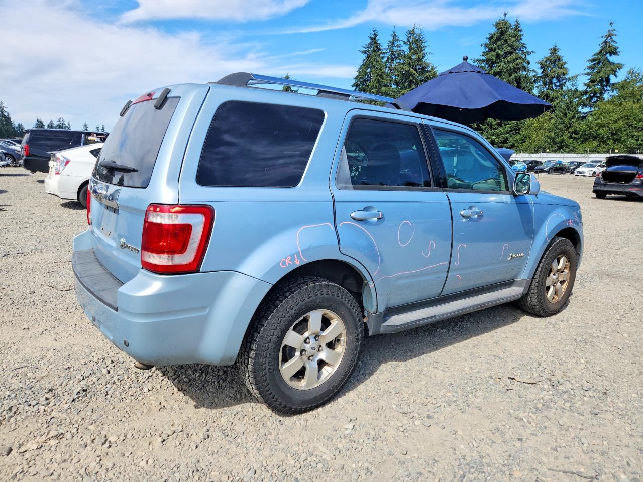 2009 Ford Escape Hybrid Blue vin: 1FMCU59399KB08416