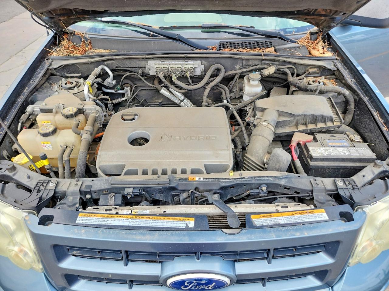 2010 Ford Escape Hybrid Blue vin: 1FMCU5K32AKD02767