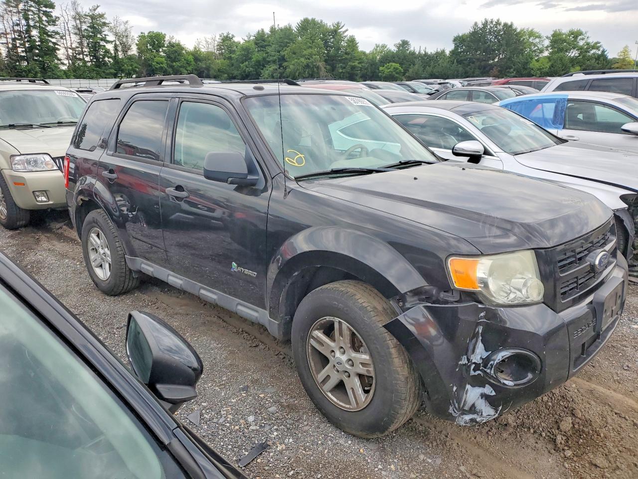 2011 Ford Escape Hybrid Black vin: 1FMCU5K33BKB35479