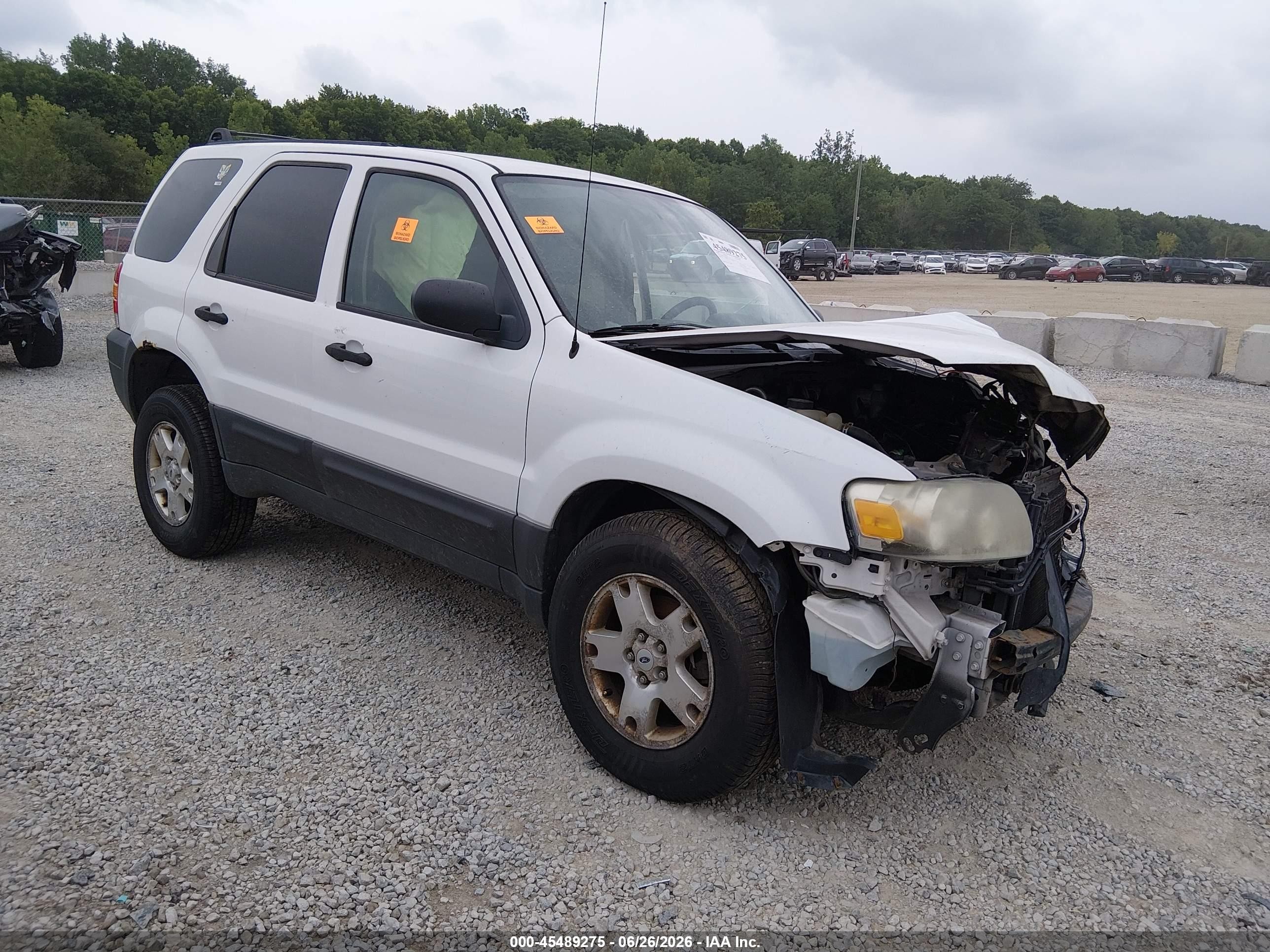 2006 Ford Escape Xlt/xlt Sport White vin: 1FMCU93116KB33675