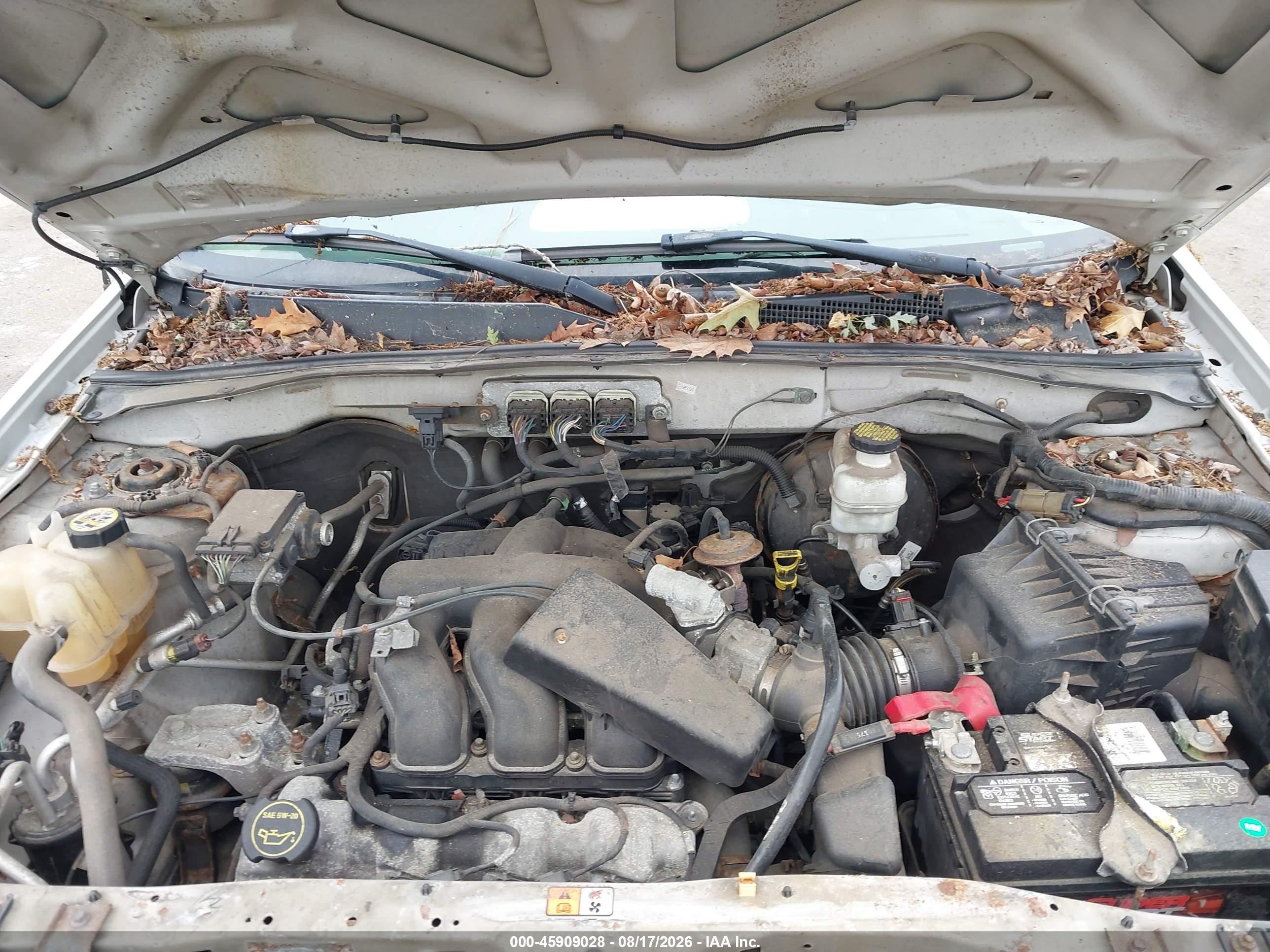 2008 Ford Escape Xlt Cream vin: 1FMCU93128KB26902