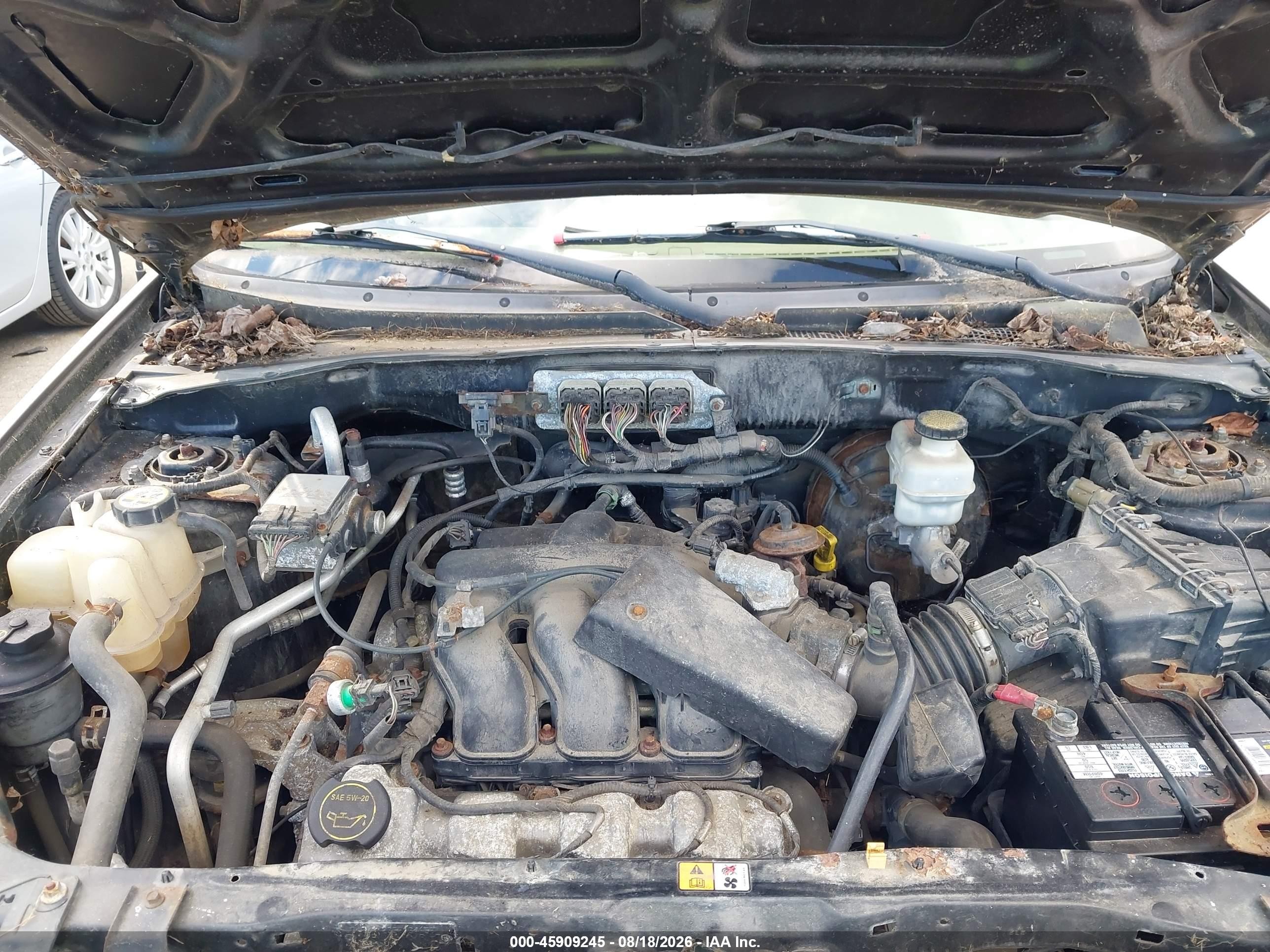 2007 Ford Escape Xlt/xlt Sport Gold vin: 1FMCU93147KA31062
