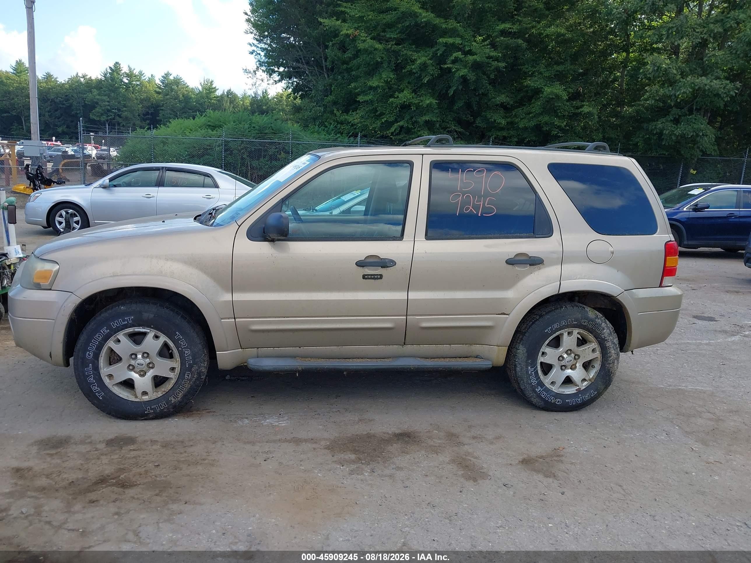 2007 Ford Escape Xlt/xlt Sport Gold vin: 1FMCU93147KA31062