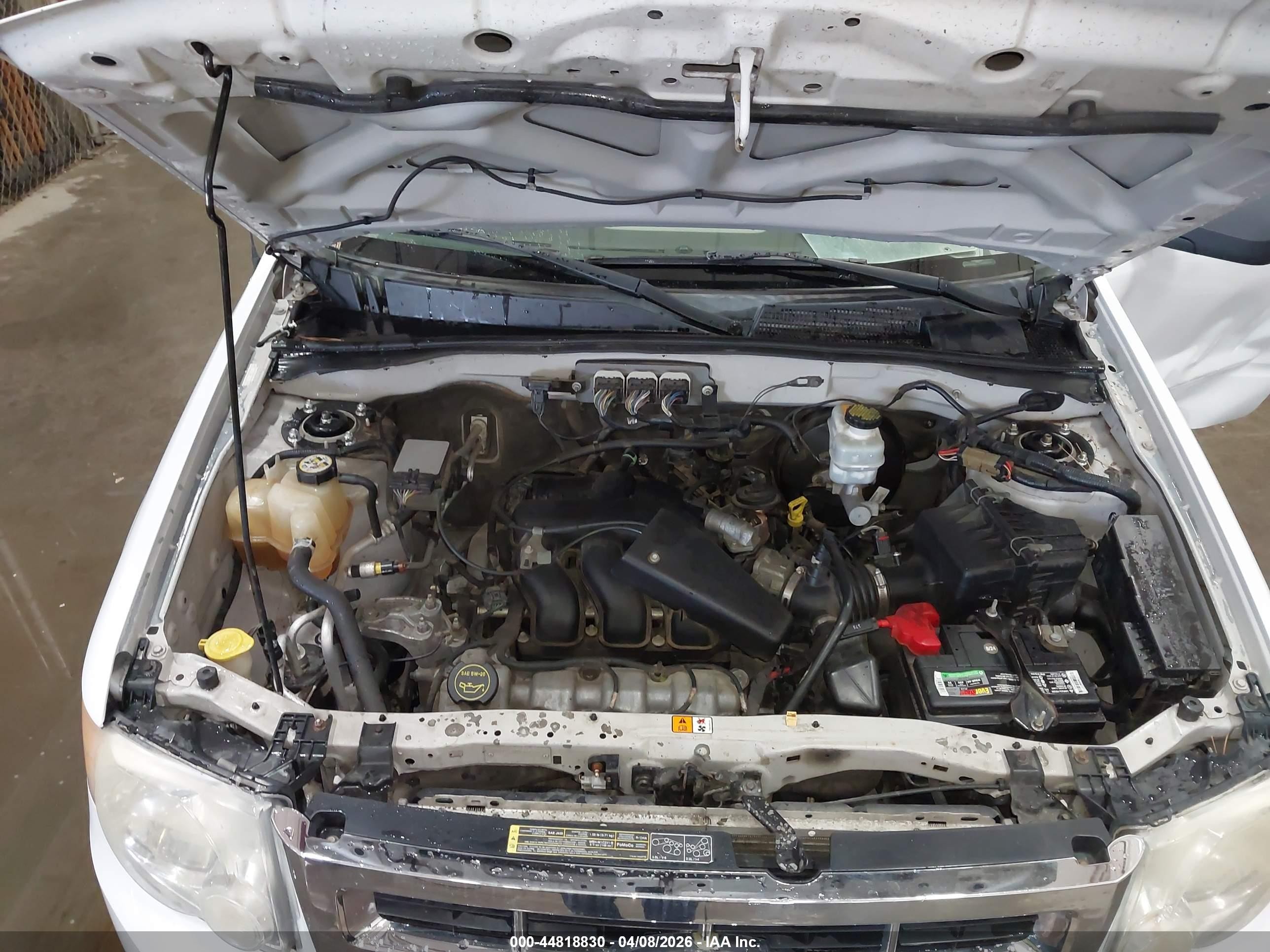 2008 Ford Escape Xlt White vin: 1FMCU93178KB61449