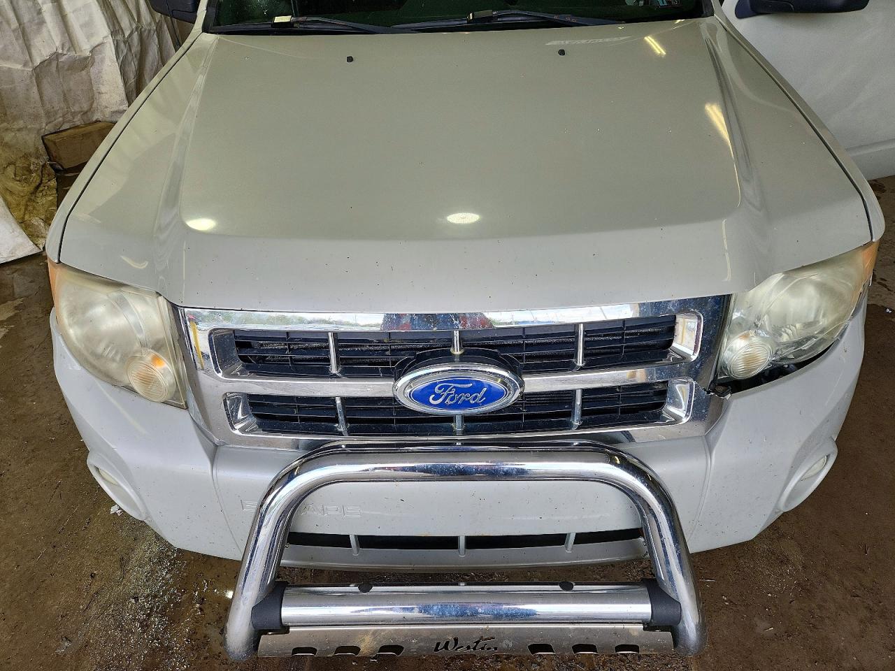 2008 Ford Escape Xlt Beige vin: 1FMCU93188KB51674