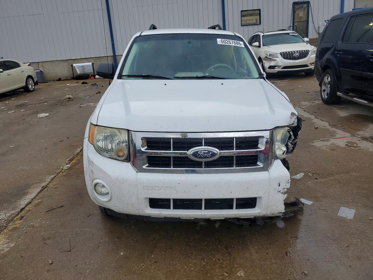 2008 Ford Escape Xlt White vin: 1FMCU93198KD83426