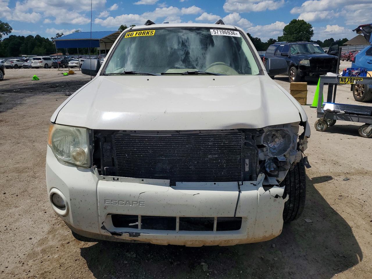 2009 Ford Escape Xlt White vin: 1FMCU93719KB70377