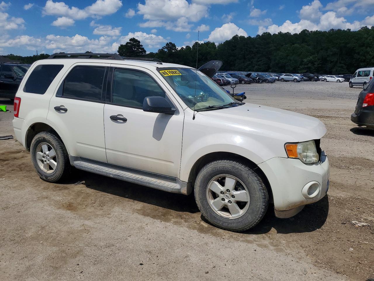 2009 Ford Escape Xlt White vin: 1FMCU93719KB70377