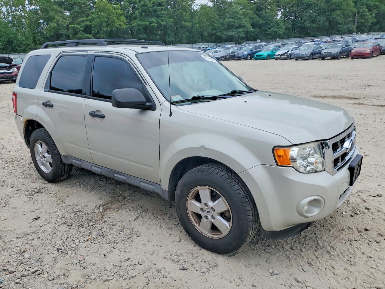 2009 Ford Escape Xlt White vin: 1FMCU93759KA63705