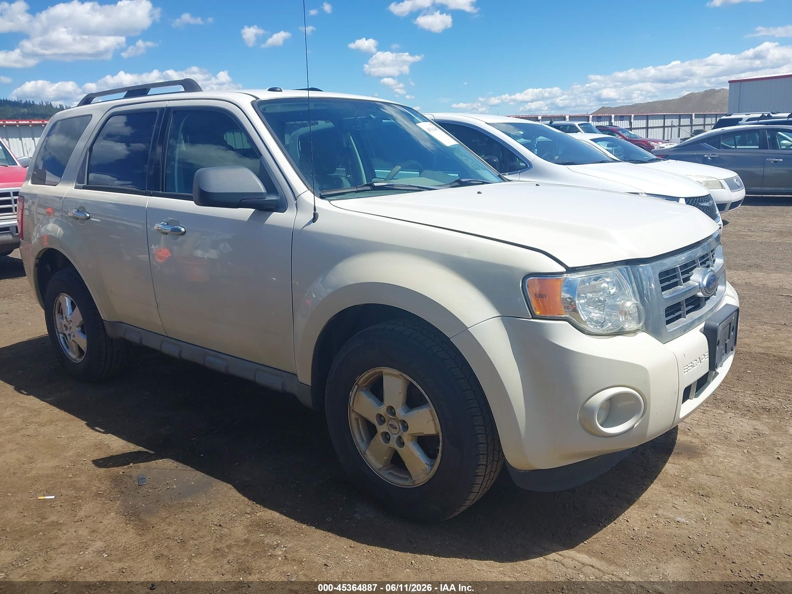 2009 Ford Escape Xlt White vin: 1FMCU93789KA99758