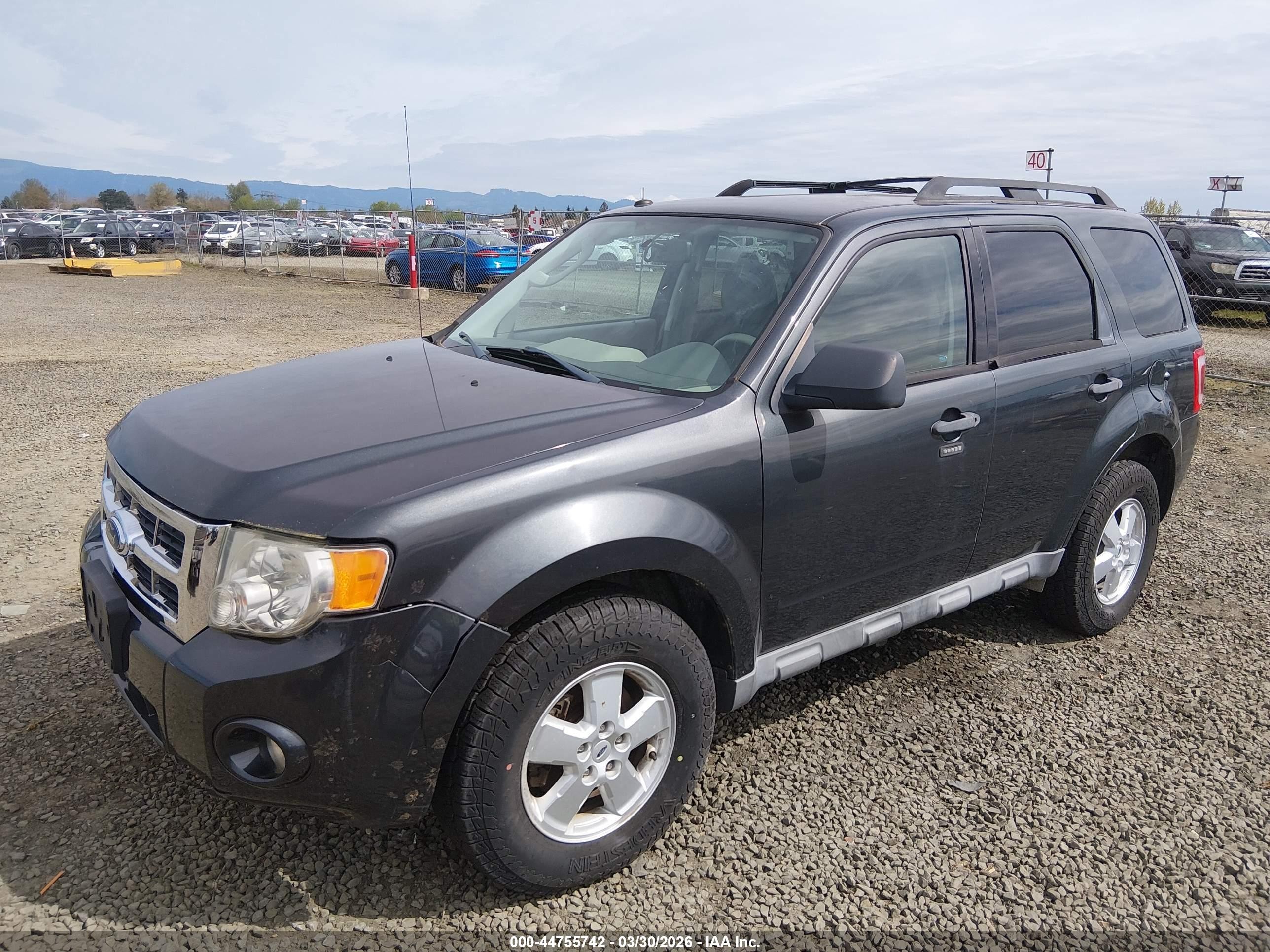 2009 Ford Escape Xlt Gray vin: 1FMCU93G09KC49894