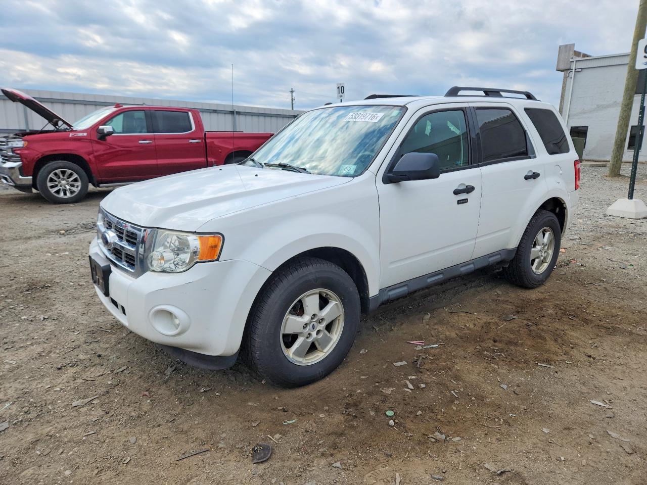 2009 Ford Escape White vin: 1FMCU93G49KA86196