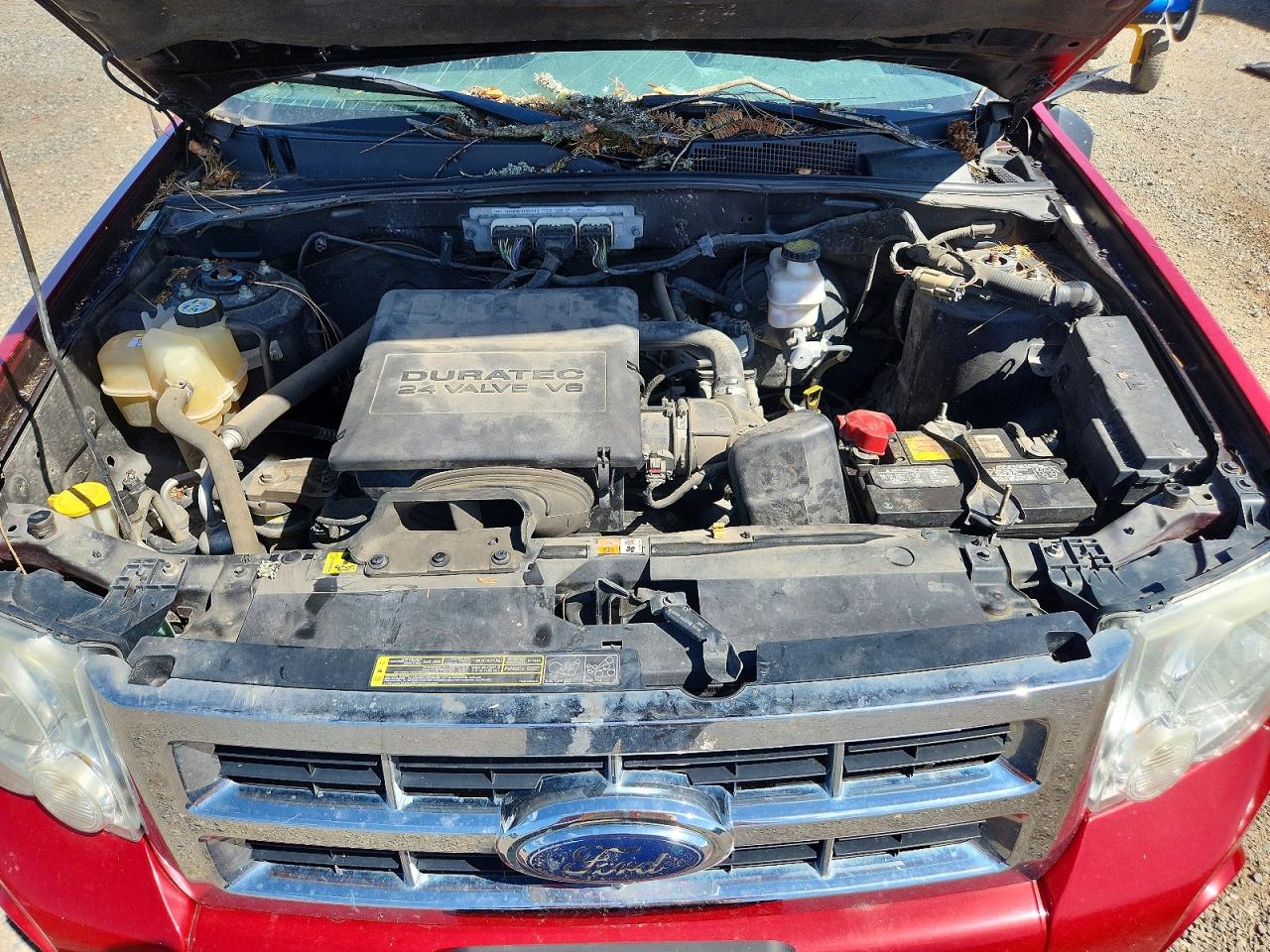 2009 Ford Escape Xlt Maroon vin: 1FMCU93G49KC11701