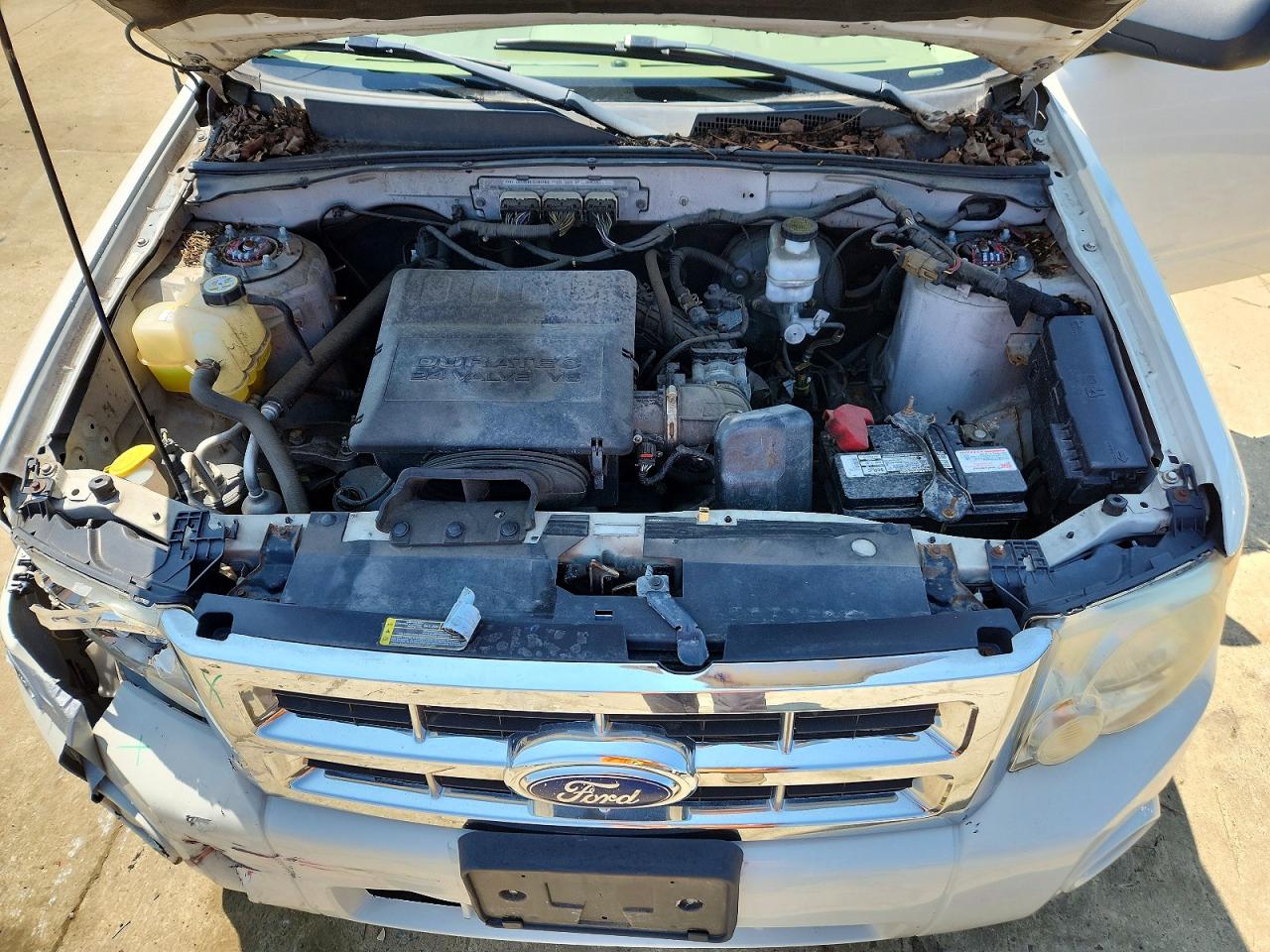 2009 Ford Escape Xlt Белый vin: 1FMCU93G59KC56808