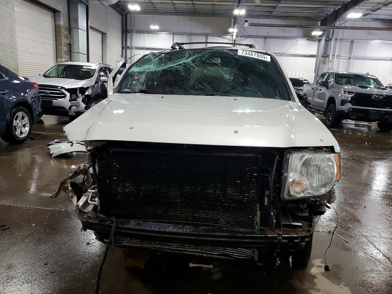 2009 Ford Escape Beige vin: 1FMCU93G59KC98329