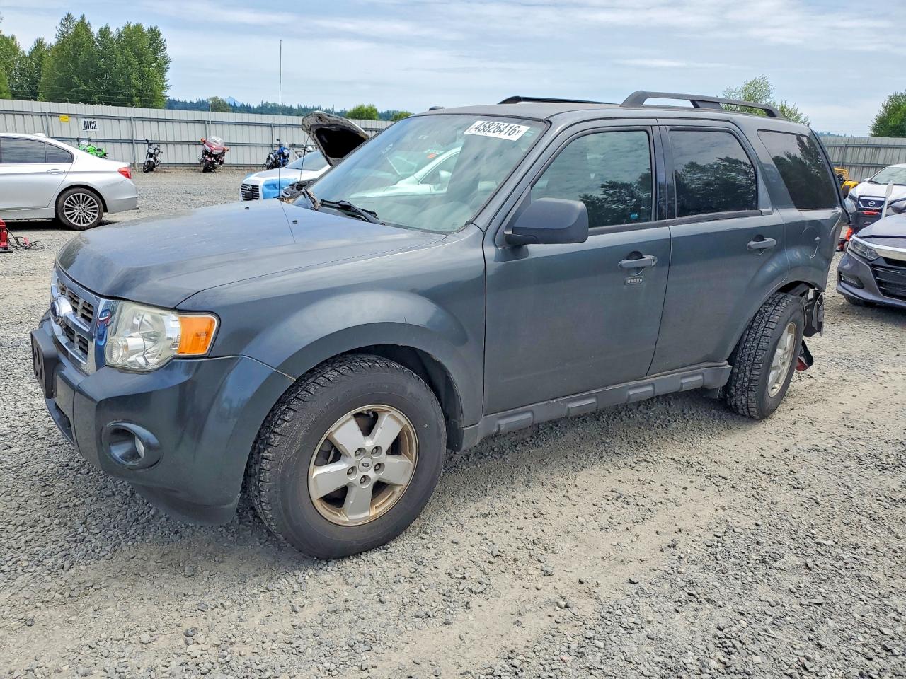2009 Ford Escape Xlt Gray vin: 1FMCU93G99KA12952