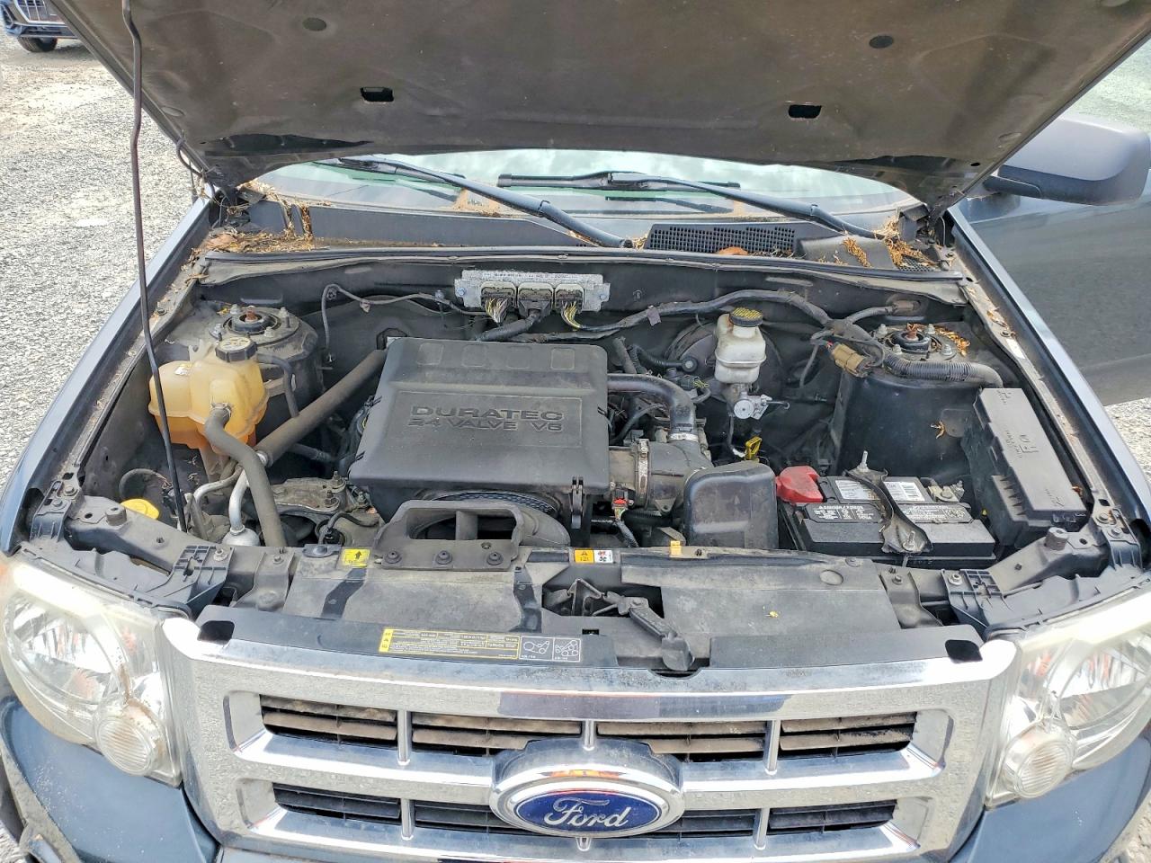 2009 Ford Escape Xlt Gray vin: 1FMCU93G99KA12952