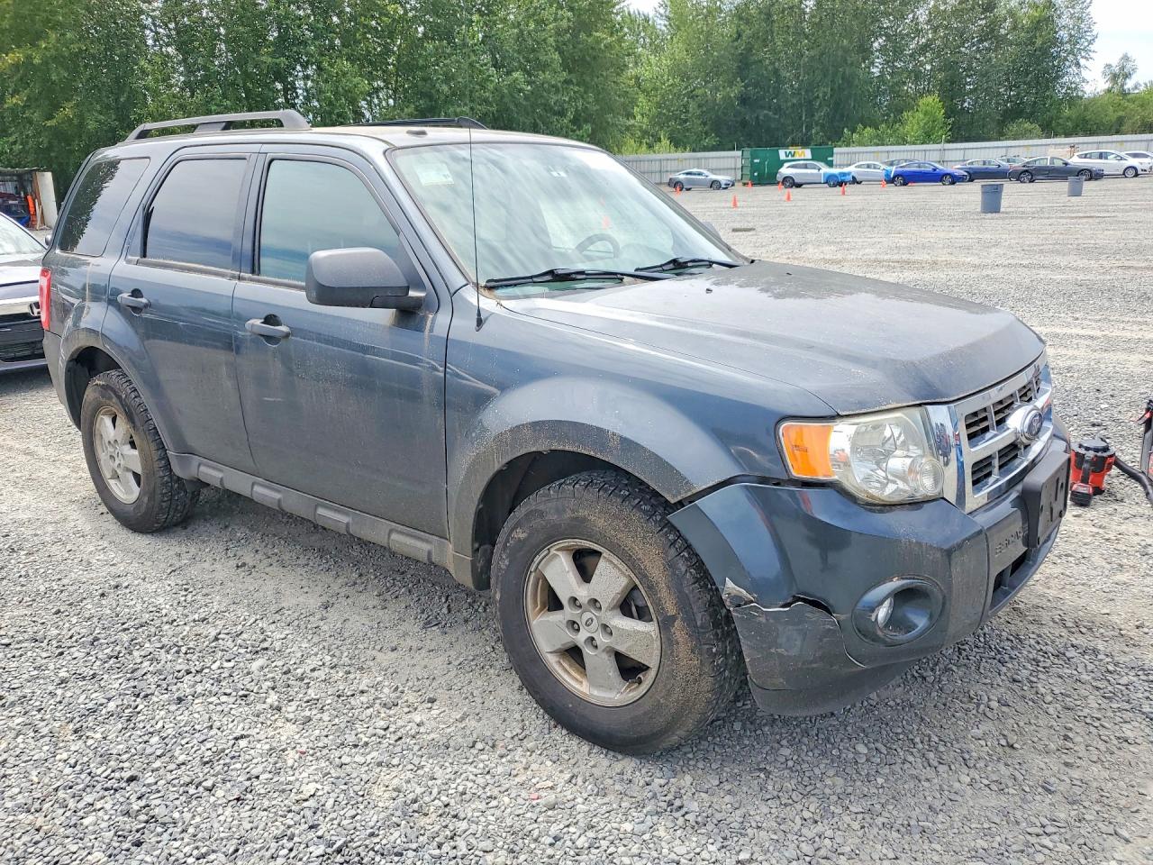 2009 Ford Escape Xlt Gray vin: 1FMCU93G99KA12952