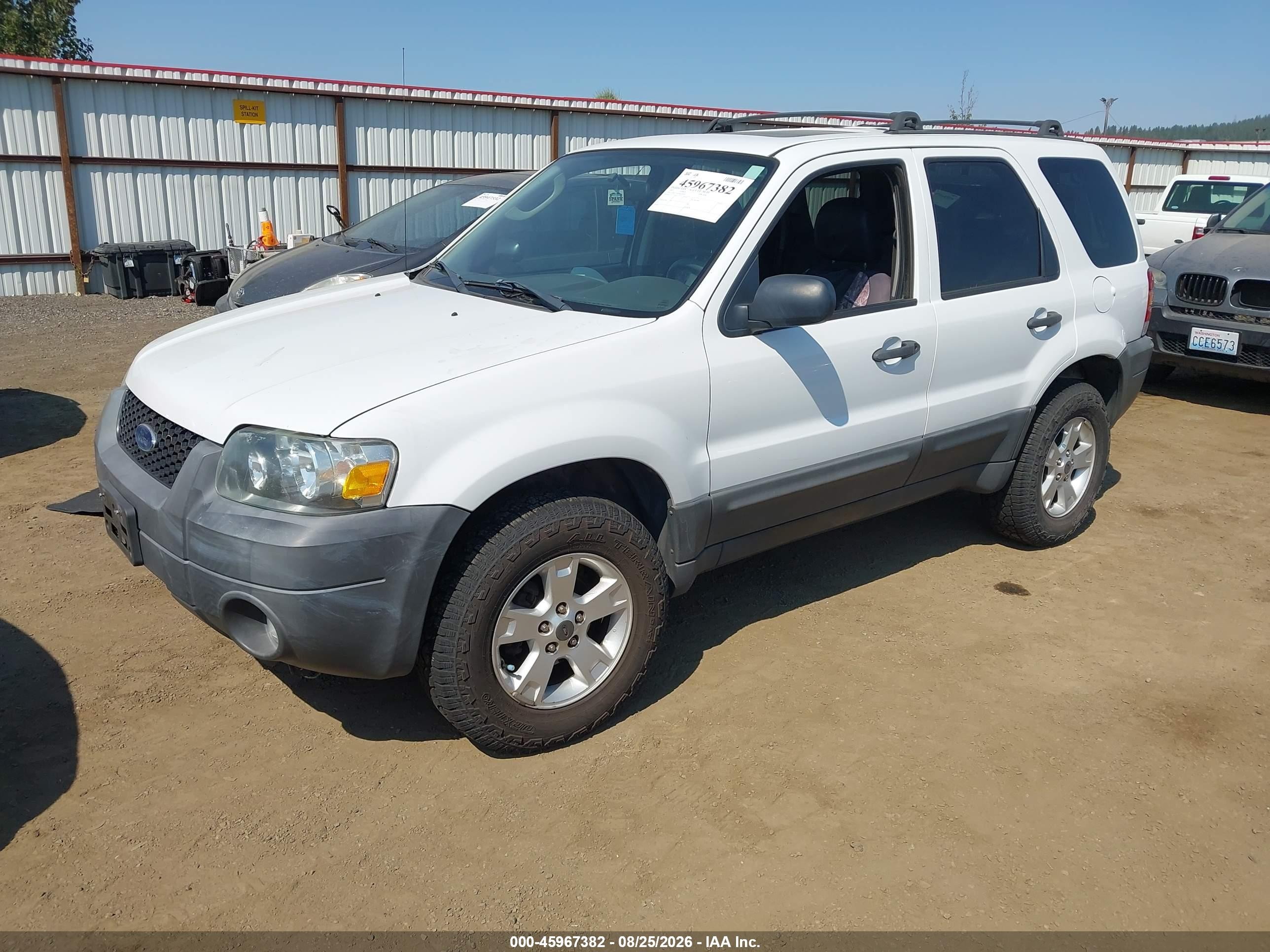 2007 Ford Escape Xlt Белый vin: 1FMCU93Z97KC05939