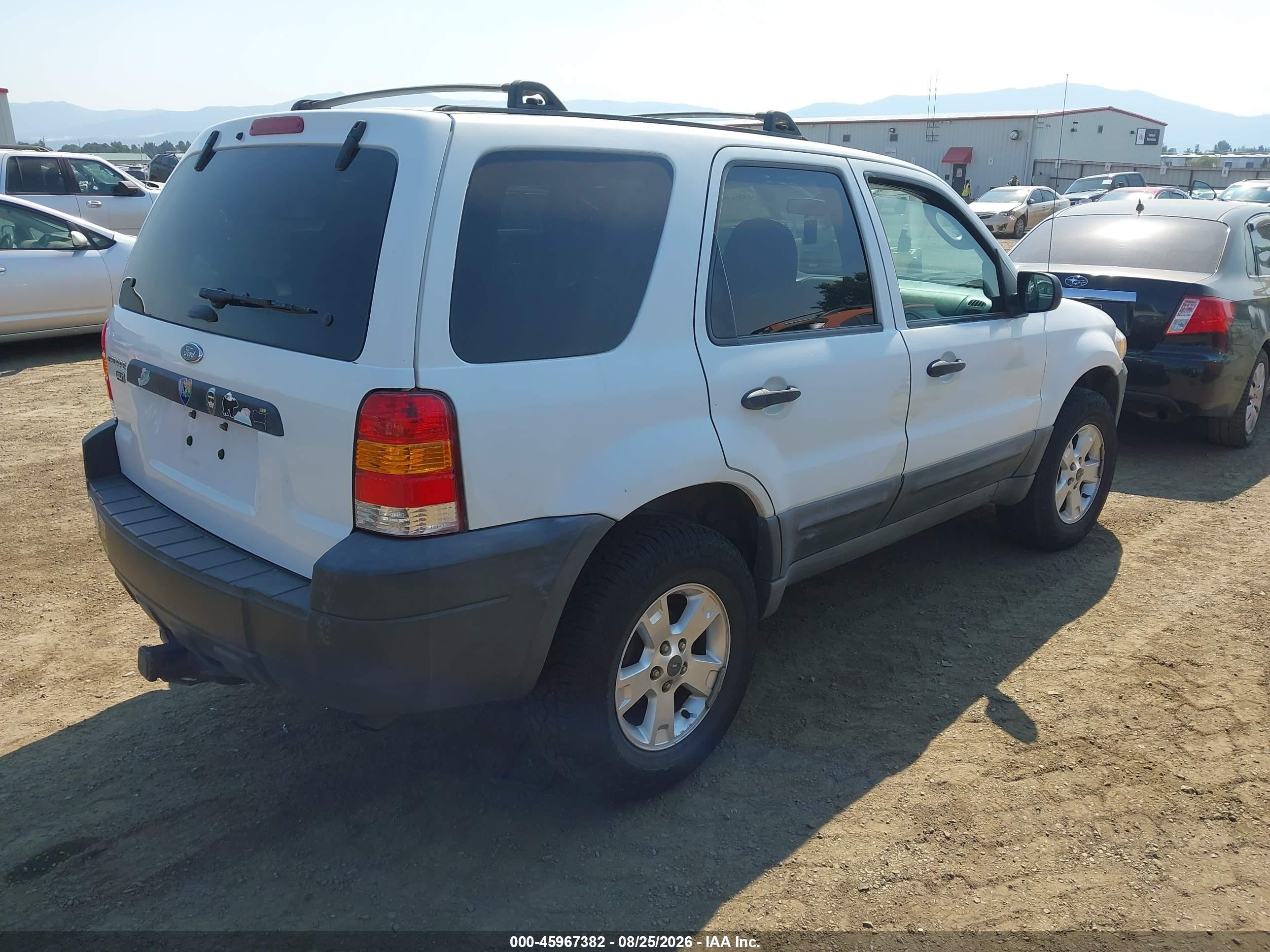 2007 Ford Escape Xlt Белый vin: 1FMCU93Z97KC05939