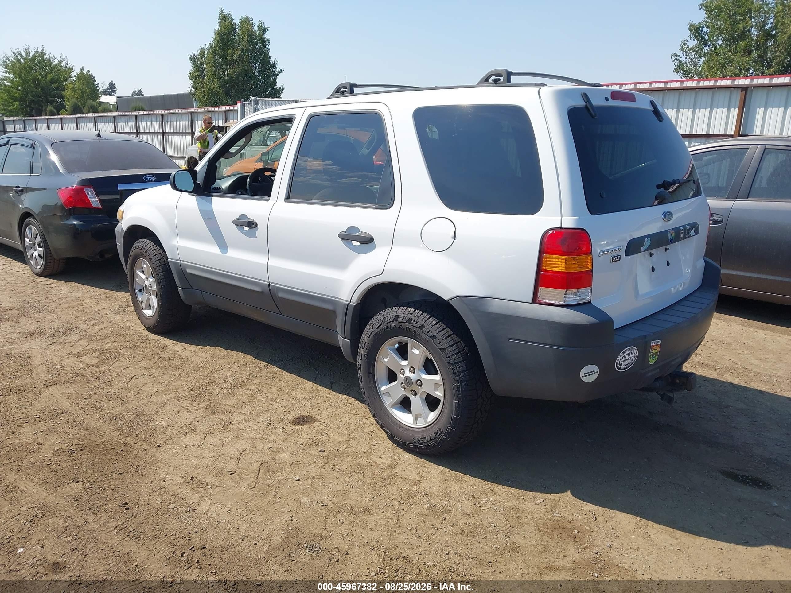 2007 Ford Escape Xlt Белый vin: 1FMCU93Z97KC05939