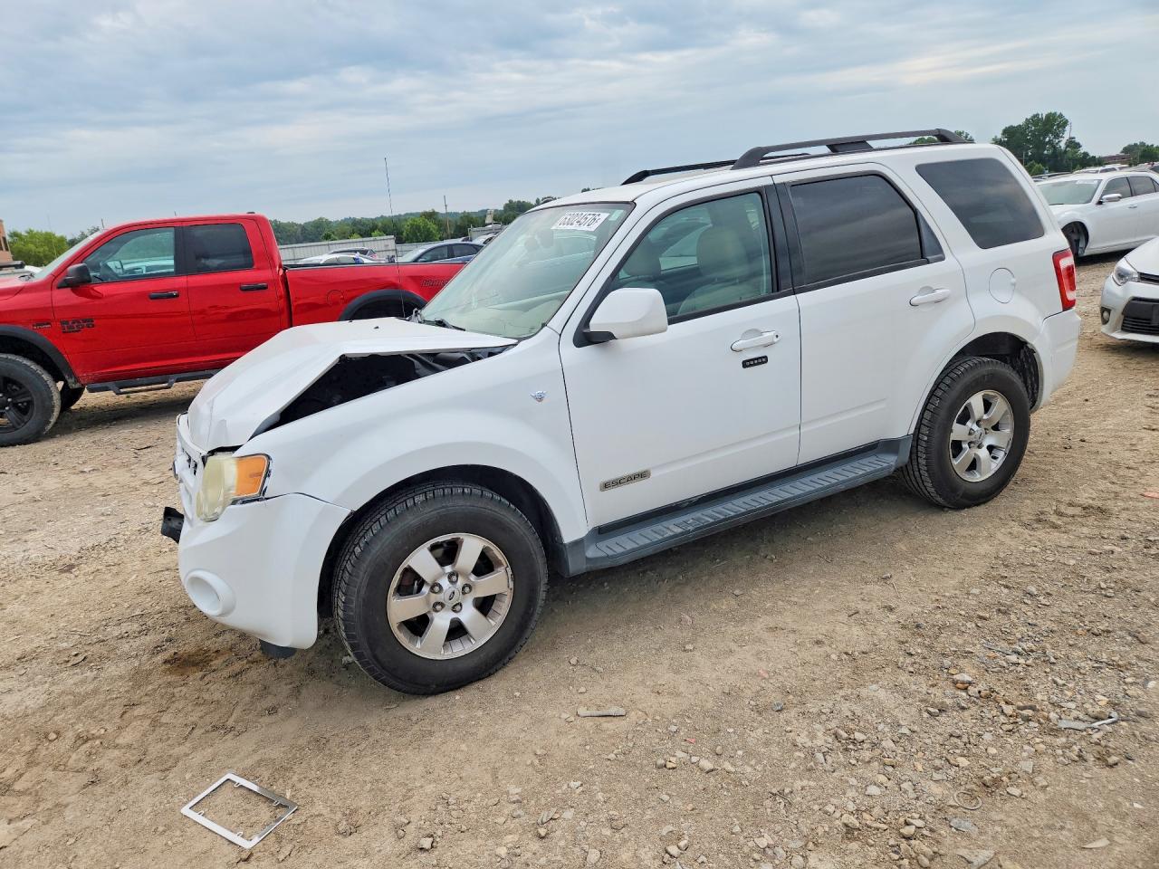 2008 Ford Escape Limited White vin: 1FMCU94188KA51430