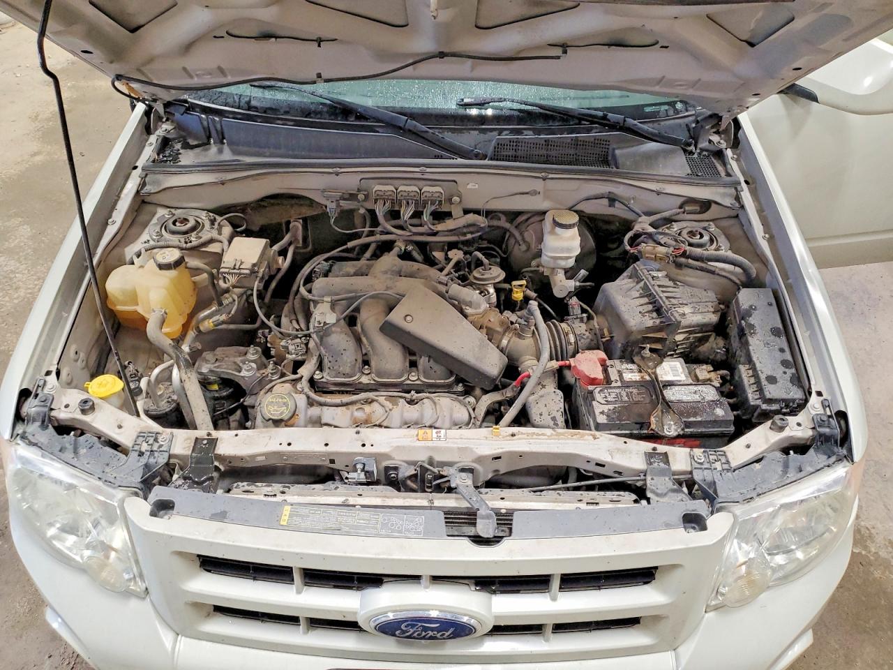 2008 Ford Escape Limited Cream vin: 1FMCU941X8KD66536