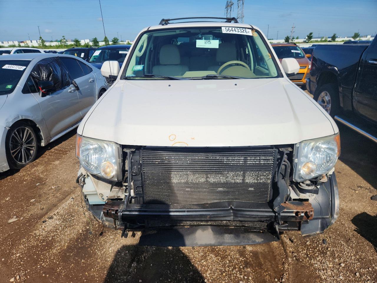 2009 Ford Escape Limited Белый vin: 1FMCU94G39KB94338