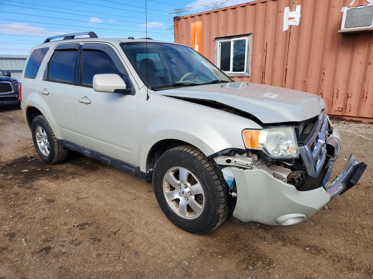 2009 Ford Escape Limited Cream vin: 1FMCU94G69KA12535