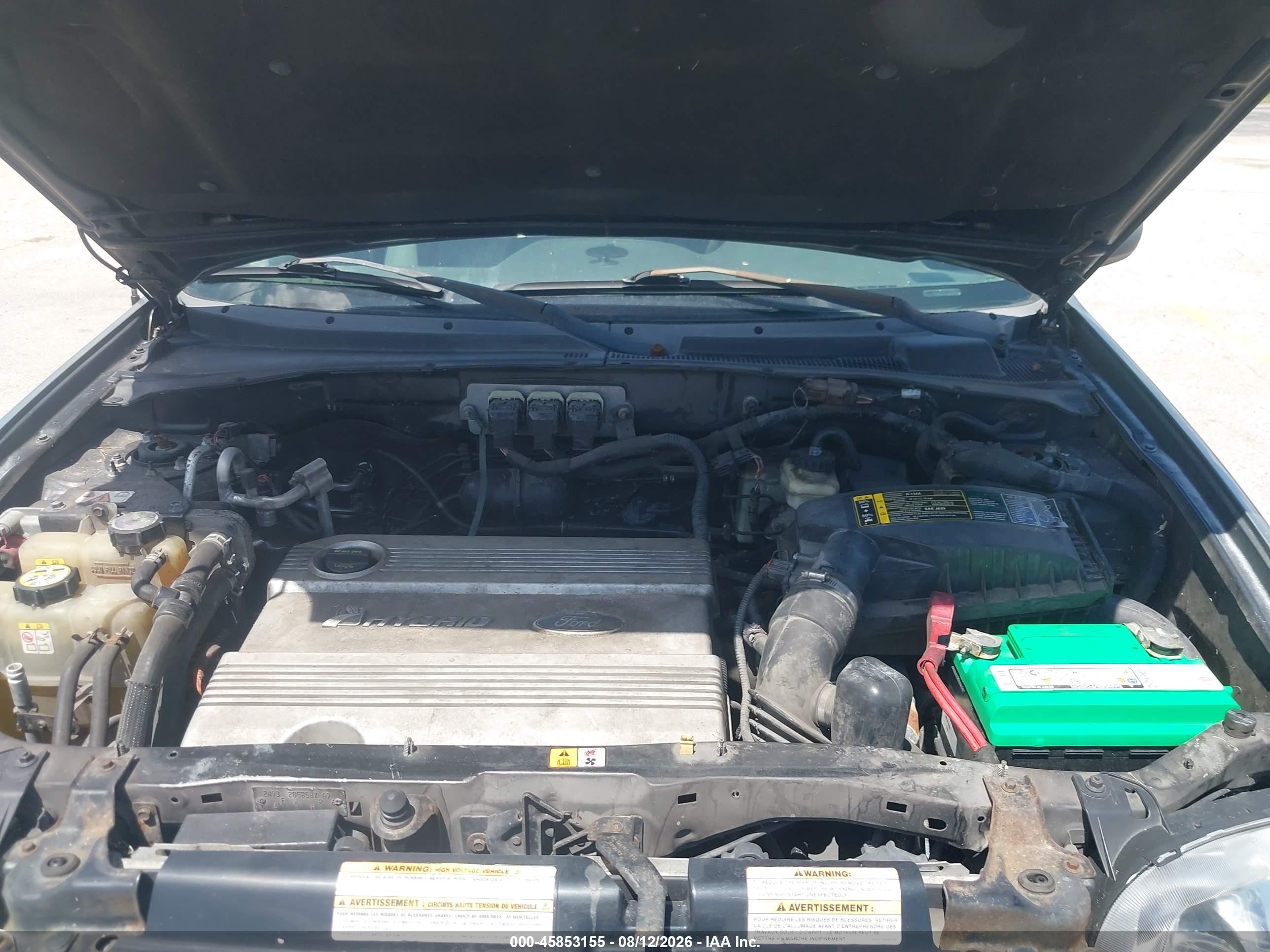 2006 Ford Escape Hybrid   Green vin: 1FMCU95H06KA08225