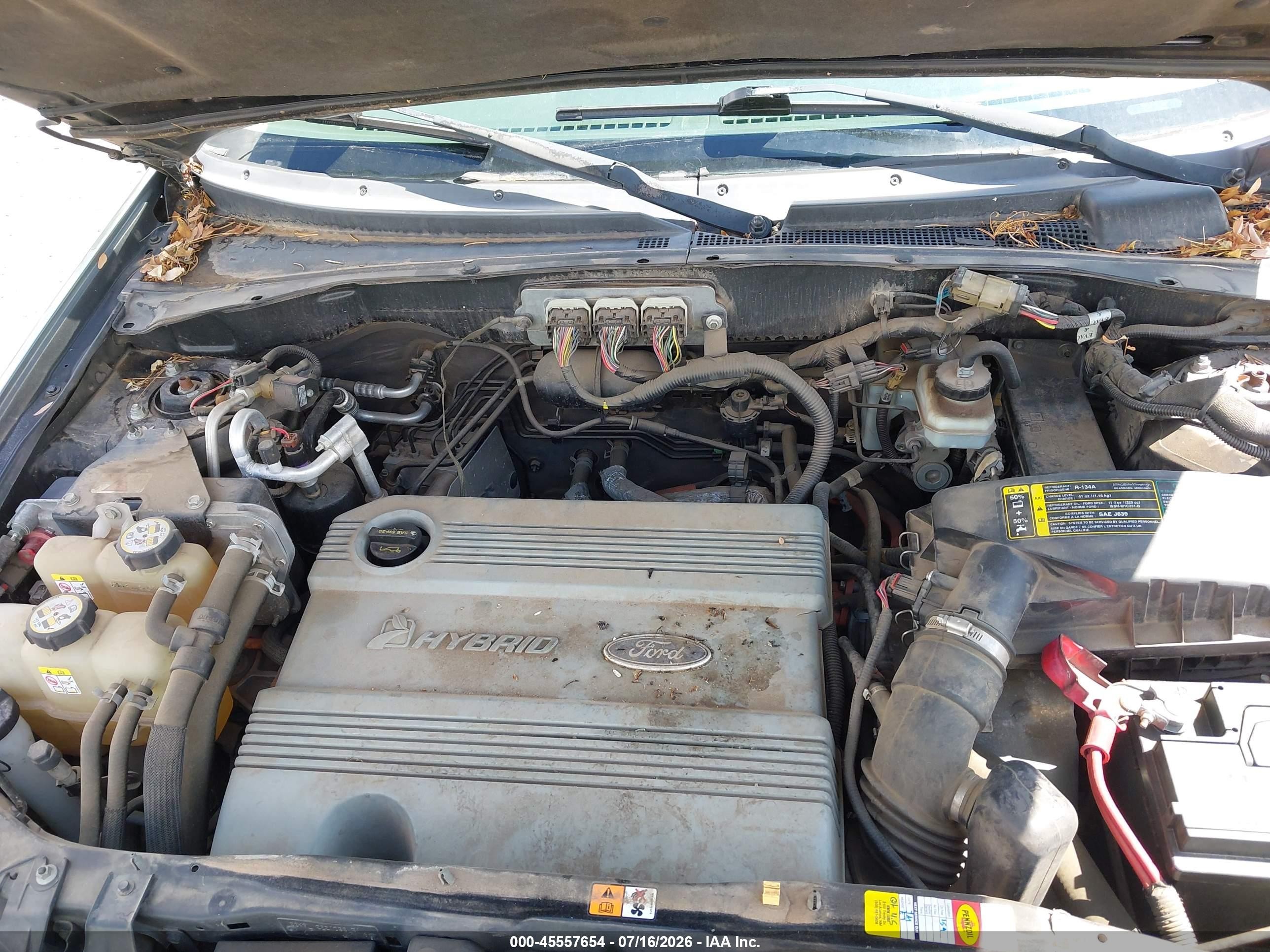 2006 Ford Escape Hybrid   Green vin: 1FMCU96H36KC08756