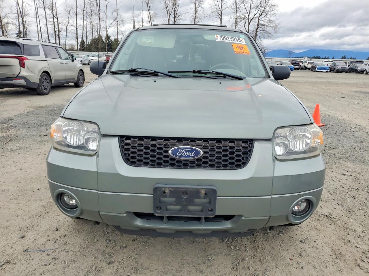 2006 Ford Escape Hev Green vin: 1FMCU96H46KA20747
