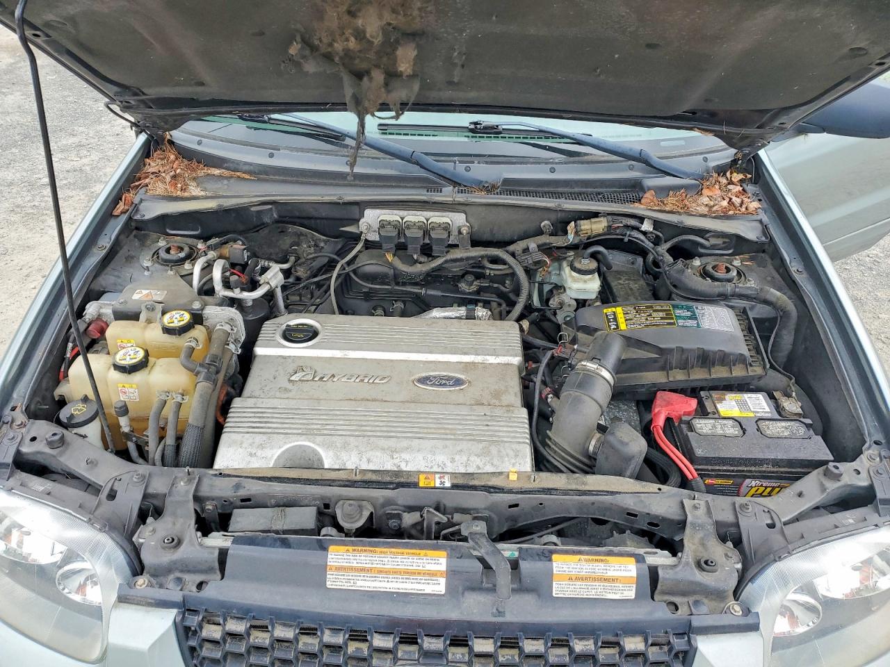 2006 Ford Escape Hev Green vin: 1FMCU96H46KA20747