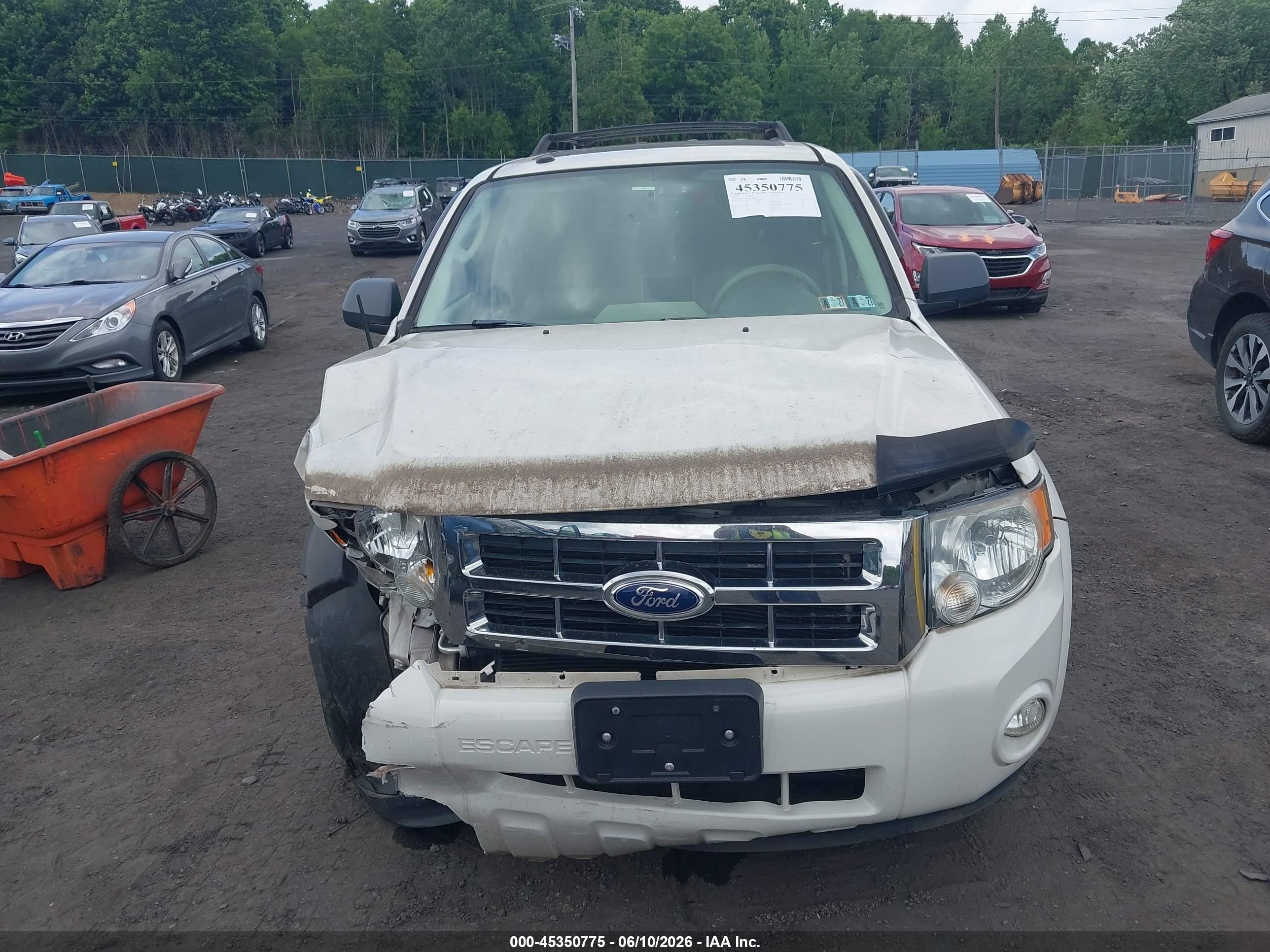 2011 Ford Escape Xlt Белый vin: 1FMCU9D70BKB58385
