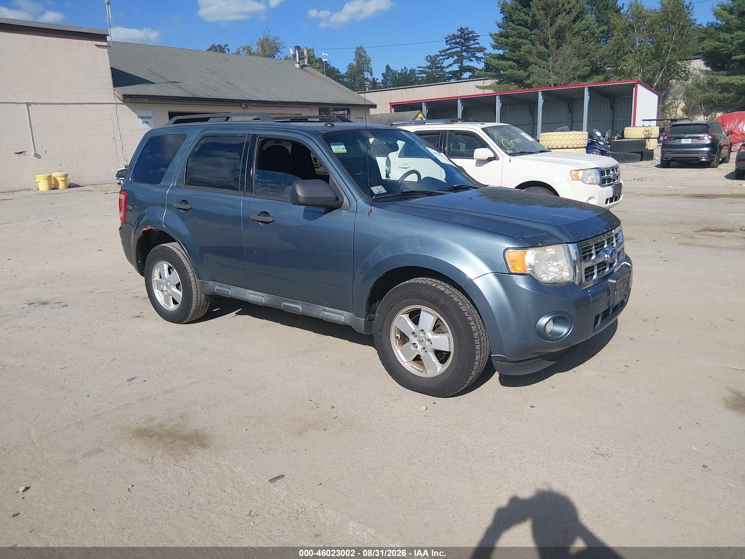 2011 Ford Escape Xlt Blue vin: 1FMCU9D70BKC21095
